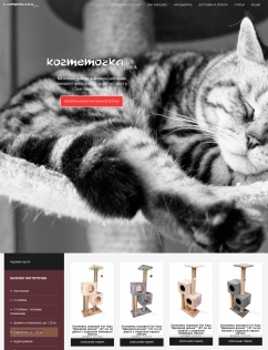 создание магазина для кошек